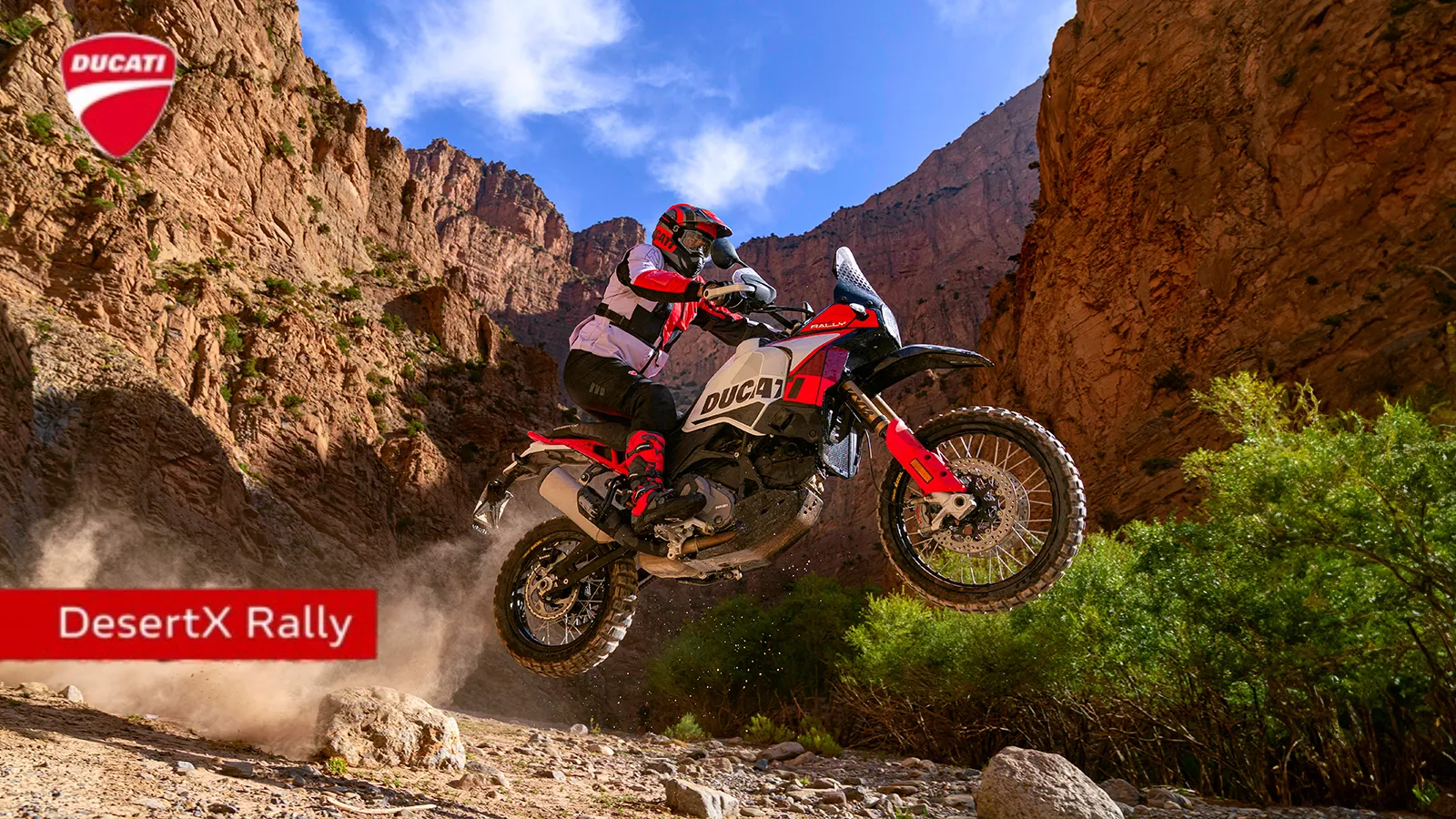 Ducati Launches Off-Road Beast DesertX Rally in India at Rs 23.70 Lakh